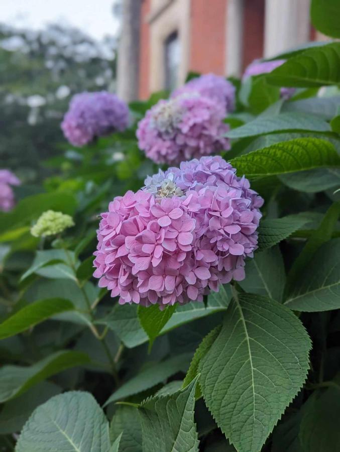 The Vistula Rose B & B โตเลโด ภายนอก รูปภาพ